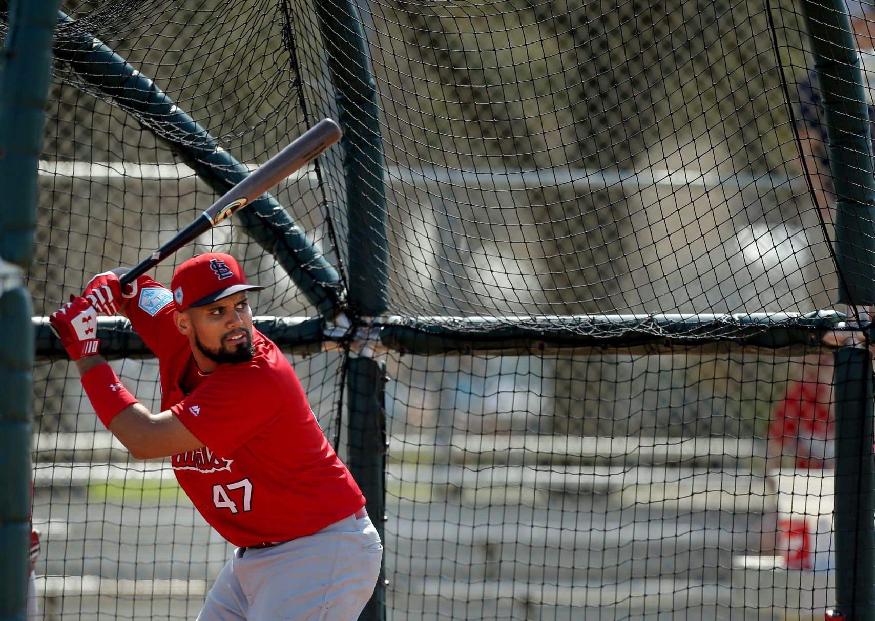 2019 Cardinals spring training
